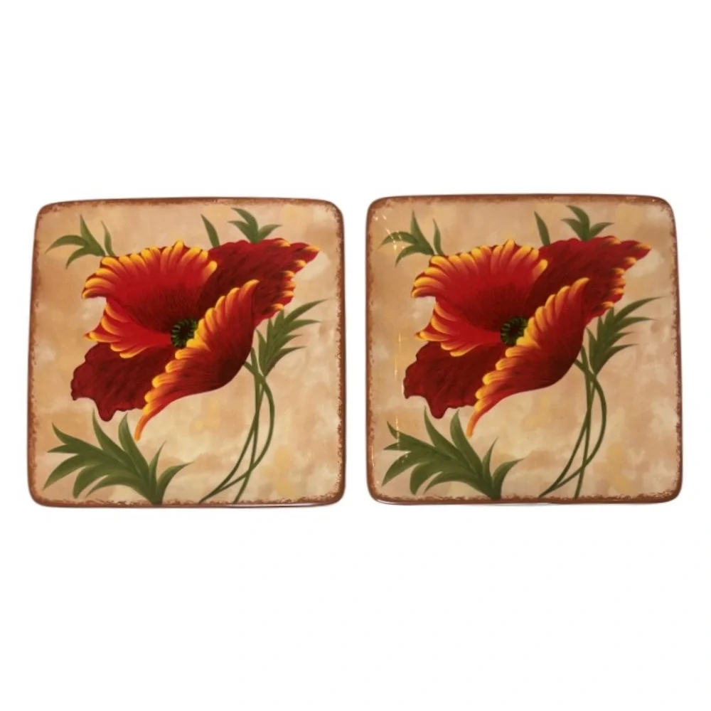 Pier 1 Poppies 8.5”x8.5” Small Plates Hand Painted Earthenware 2 Pc Set Red Tan